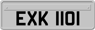 EXK1101