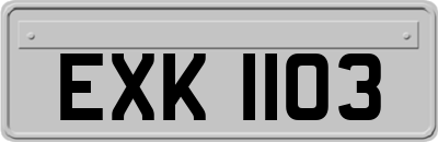 EXK1103