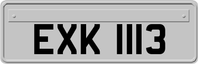 EXK1113
