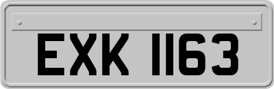 EXK1163
