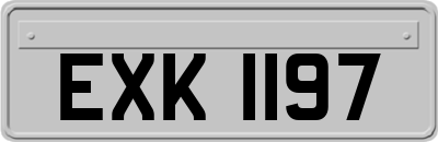 EXK1197