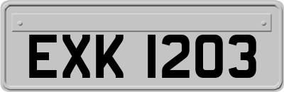 EXK1203