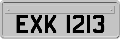 EXK1213