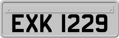 EXK1229