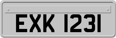EXK1231