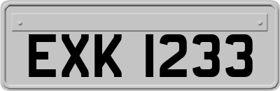 EXK1233
