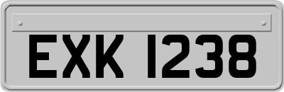 EXK1238