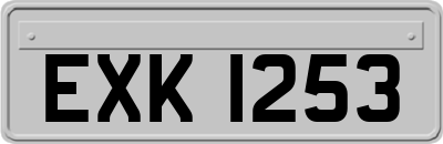 EXK1253