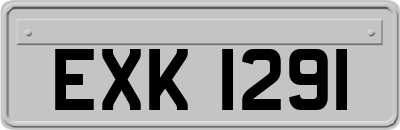 EXK1291