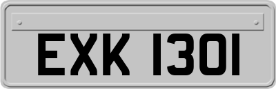 EXK1301