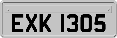 EXK1305