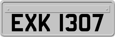 EXK1307