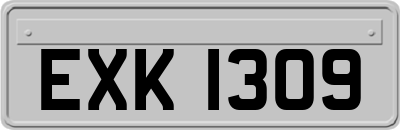 EXK1309