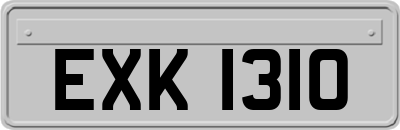 EXK1310