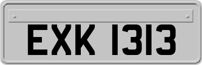 EXK1313