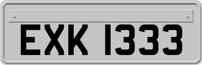 EXK1333