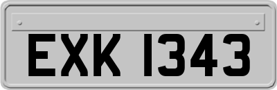 EXK1343