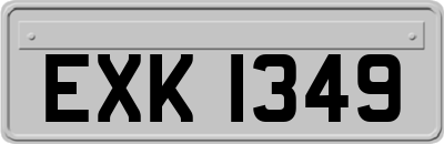 EXK1349