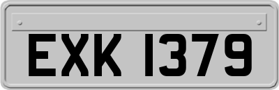 EXK1379