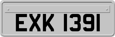 EXK1391