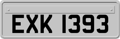 EXK1393
