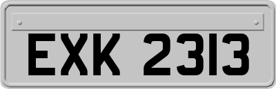 EXK2313