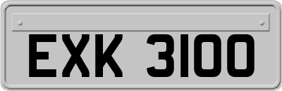 EXK3100