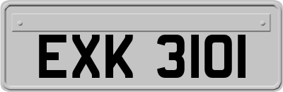 EXK3101