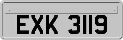 EXK3119