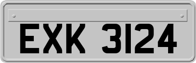EXK3124