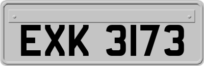 EXK3173