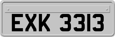 EXK3313