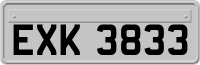 EXK3833
