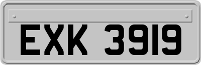EXK3919