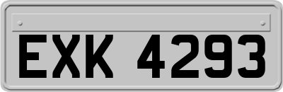 EXK4293
