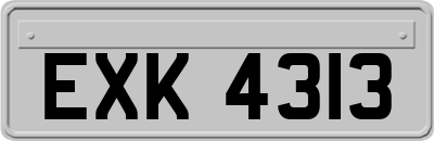 EXK4313