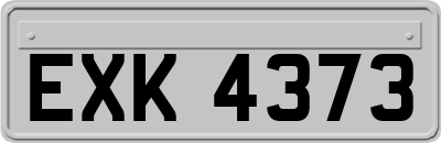EXK4373