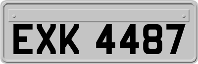 EXK4487