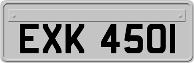 EXK4501
