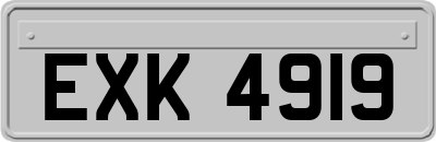 EXK4919