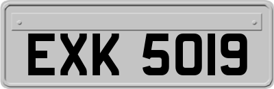 EXK5019