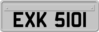 EXK5101