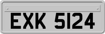 EXK5124