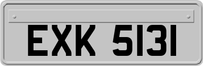 EXK5131