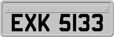 EXK5133