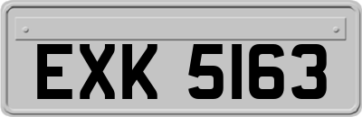 EXK5163