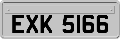 EXK5166