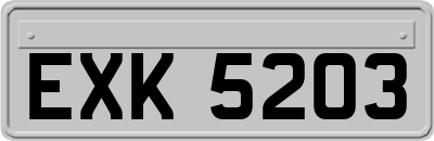 EXK5203