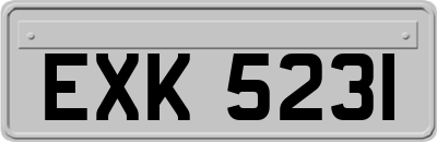 EXK5231