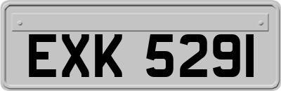 EXK5291